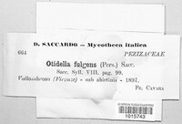 Image Associated With the Occurence
